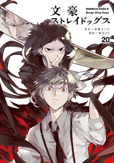 Bungou Stray Dogs Cover Image